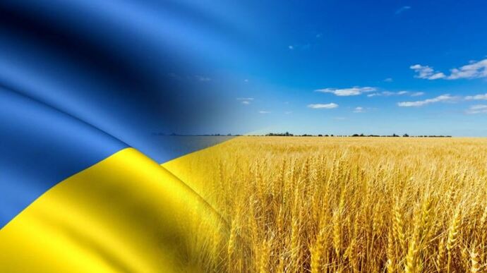«На кон поставлена жизнь миллионов людей». Ватикан осудил препятствия импорту зерна из Украины