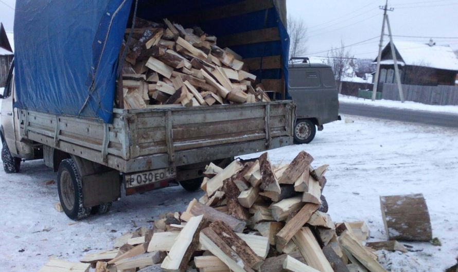Глава буддистов России попросил Путина выдать дрова семьям мобилизованных