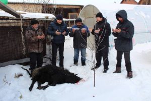 В Башкирии мэр принес в жертву барана и заказал православный молебен за российских солдат