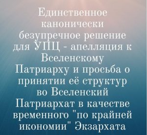 Временный экзархат для УПЦ как решение: предложение Владимира Телиженко