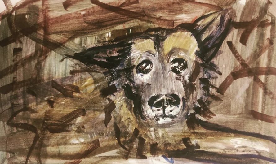 Белорусский иконописец изобразила страдания Крыма — пса семьи, погибшей от обстрела в Днепре
