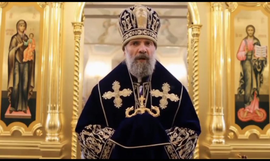 Епископ Скопинский и Шацкий Питирим (Творогов): на передовой ад, но через него наши воины идут в рай