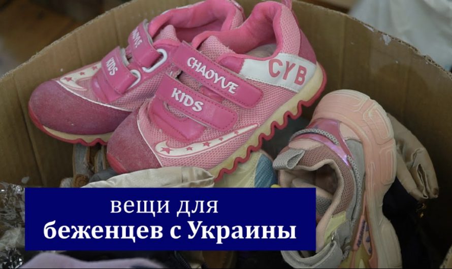 Два десятка волонтеров из разных конфессий собрались в Санкт-Петербурге, чтобы собирать помощь для украинских беженцев