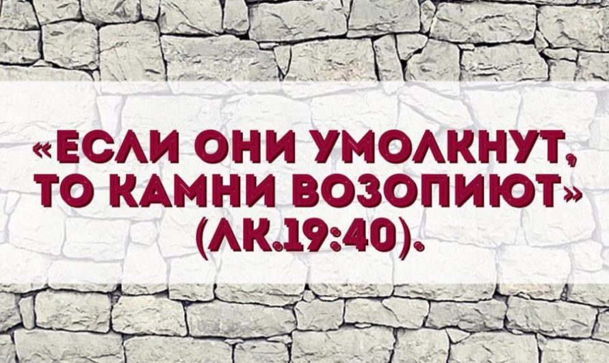 Провокация, беззаконие и вандализм. Жители Новосибирска о заповеди «Не убий»