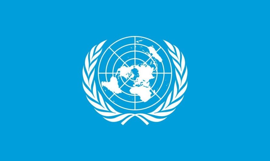 В ООН заявили о случаях насилия в отнощении представителей УПЦ