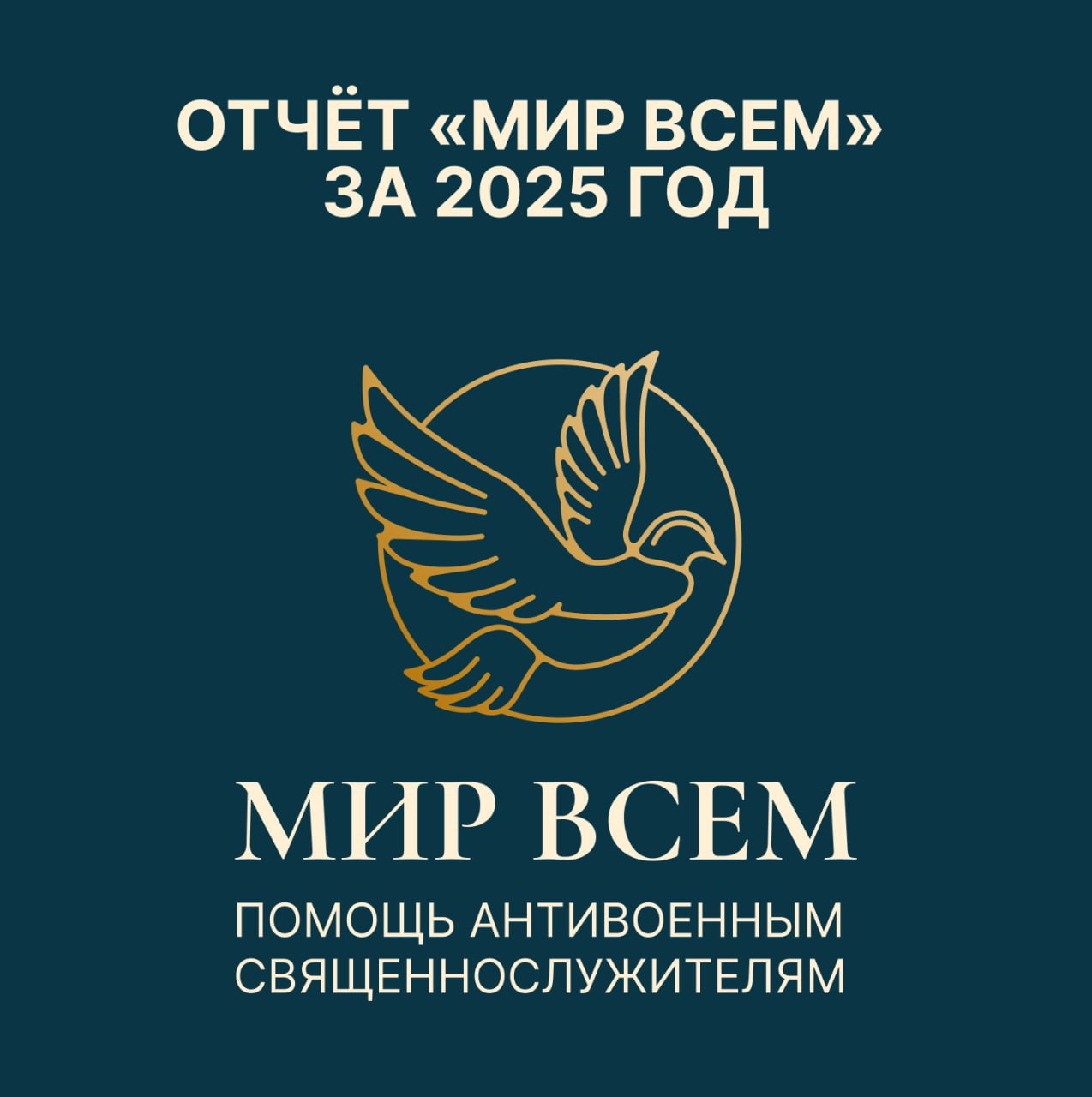 Отчёт «Мир Всем» за 2025 год: помогли 33 подопечным
