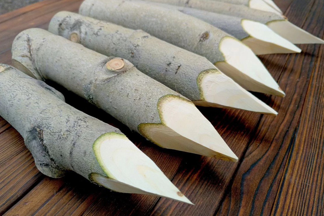 Спрос россиян на осиновые колья и обереги в 2025 году вырос в 2-4 раза