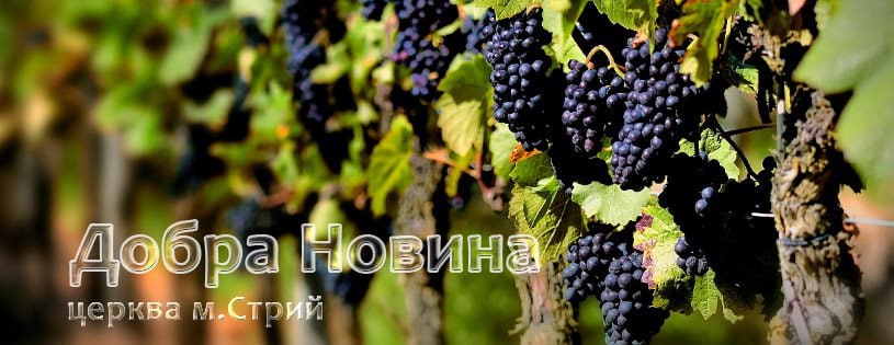 Львовский суд отказал пастору из Стрыя в «службе без оружия»