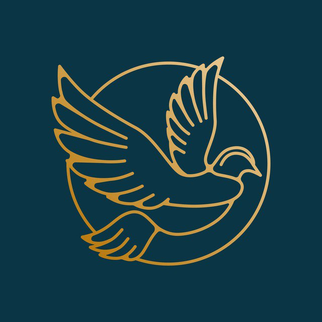 «Плоды “русского мира” — горе, разрушение и смерть»: “Мир Всем” выпустил обращение к 4-й годовщине вторжения