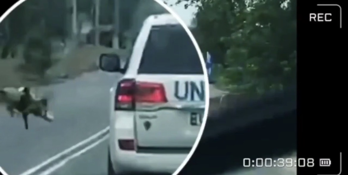 Нунций в Украине не верит в случайность обстрела россиянами авто ООН в Херсоне